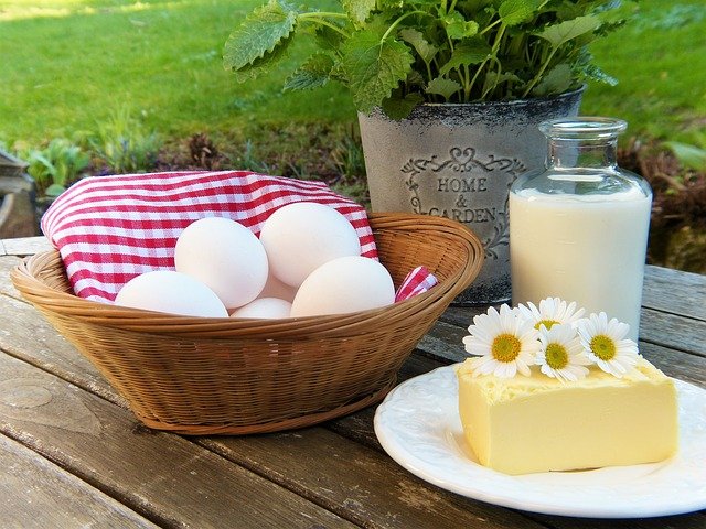 Produkty wysokobiałkowe w diecie i ich rola